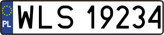 WLS19234
