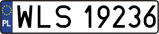 WLS19236