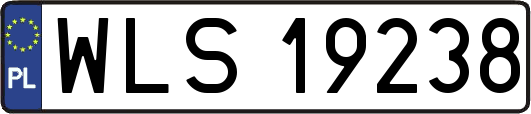 WLS19238