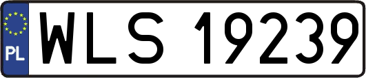 WLS19239