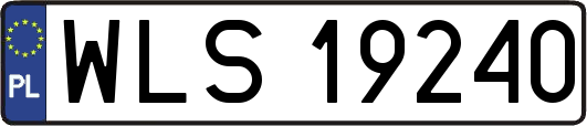 WLS19240