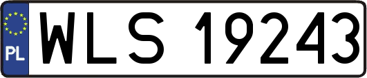WLS19243