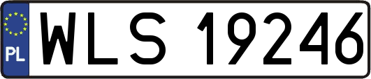 WLS19246