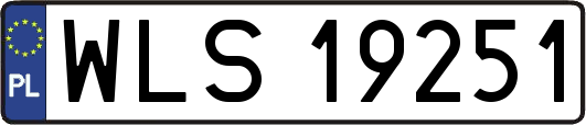 WLS19251