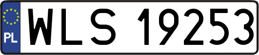 WLS19253