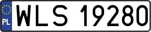 WLS19280