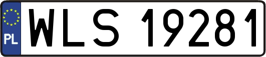 WLS19281
