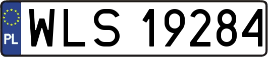 WLS19284