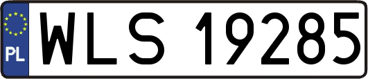 WLS19285