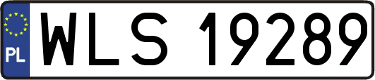 WLS19289