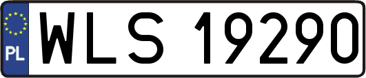 WLS19290