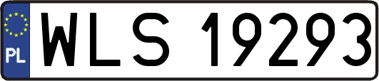 WLS19293
