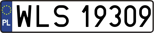 WLS19309