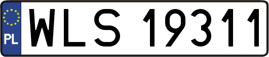 WLS19311