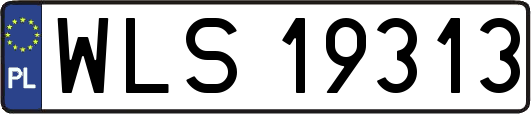 WLS19313