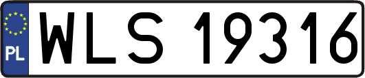 WLS19316