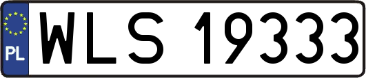WLS19333