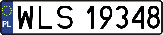 WLS19348