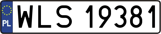 WLS19381