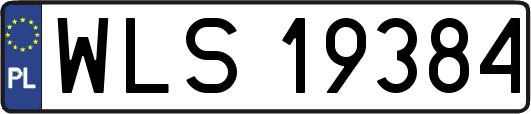 WLS19384