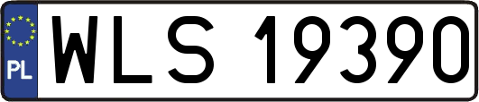 WLS19390
