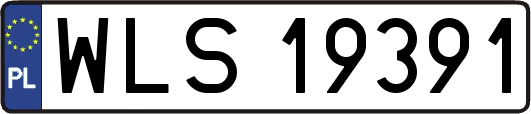 WLS19391