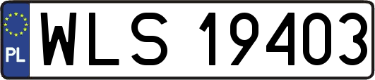 WLS19403