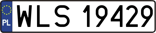 WLS19429