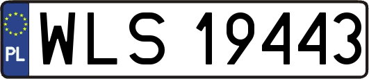 WLS19443