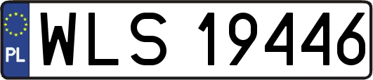 WLS19446