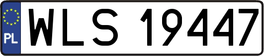 WLS19447