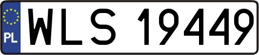 WLS19449