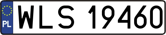 WLS19460
