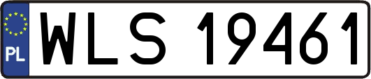 WLS19461
