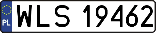 WLS19462