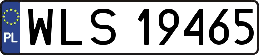 WLS19465