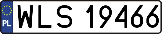 WLS19466