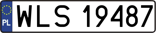 WLS19487