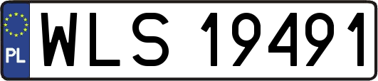 WLS19491