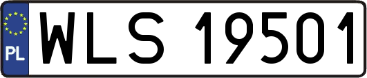 WLS19501