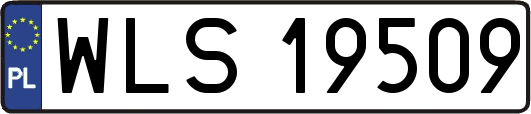 WLS19509