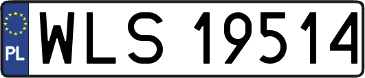 WLS19514