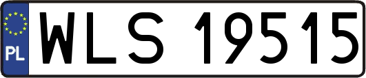 WLS19515