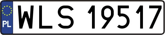 WLS19517