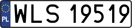 WLS19519