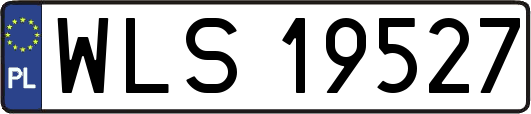 WLS19527
