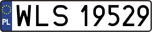 WLS19529