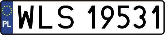 WLS19531