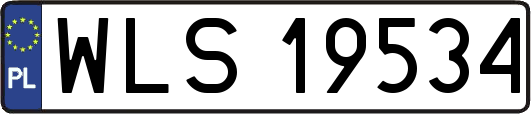 WLS19534