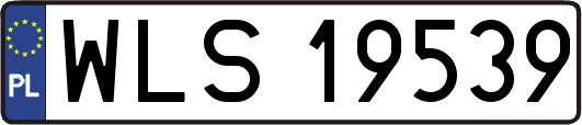 WLS19539